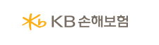 KB손보